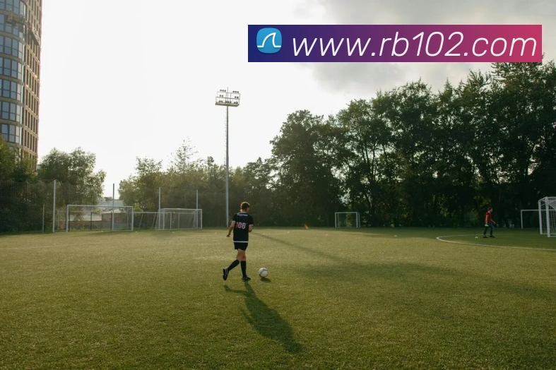热博rb88平台生态图
